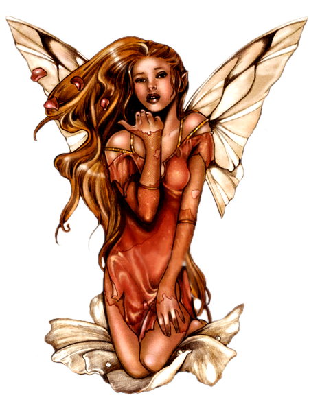 les fées,anges,elfs